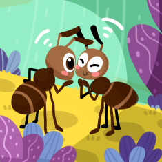 蚂蚁之间是怎么传达信息的