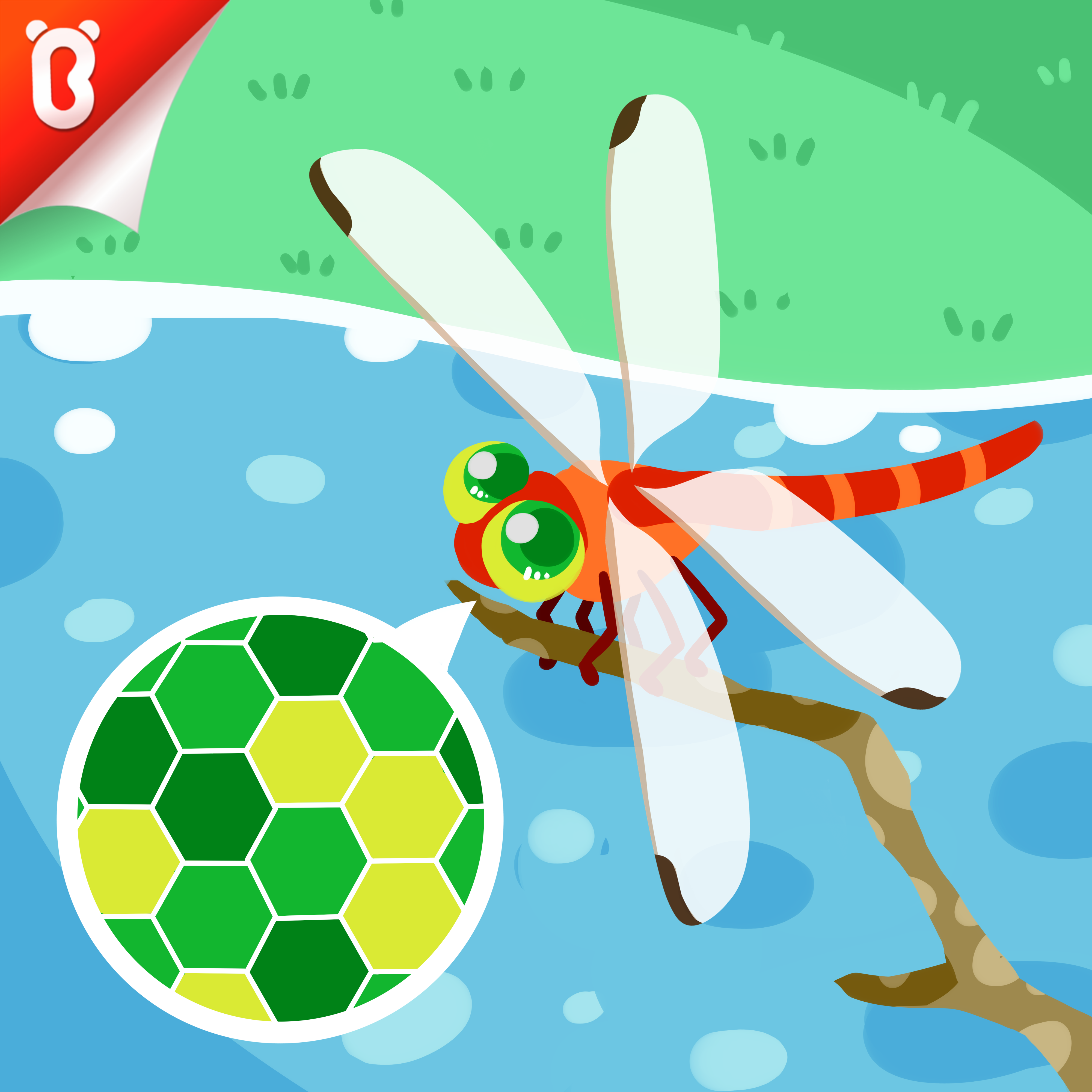 Panda Kiki’s Moment of Science: The Dragonfly Eyes
