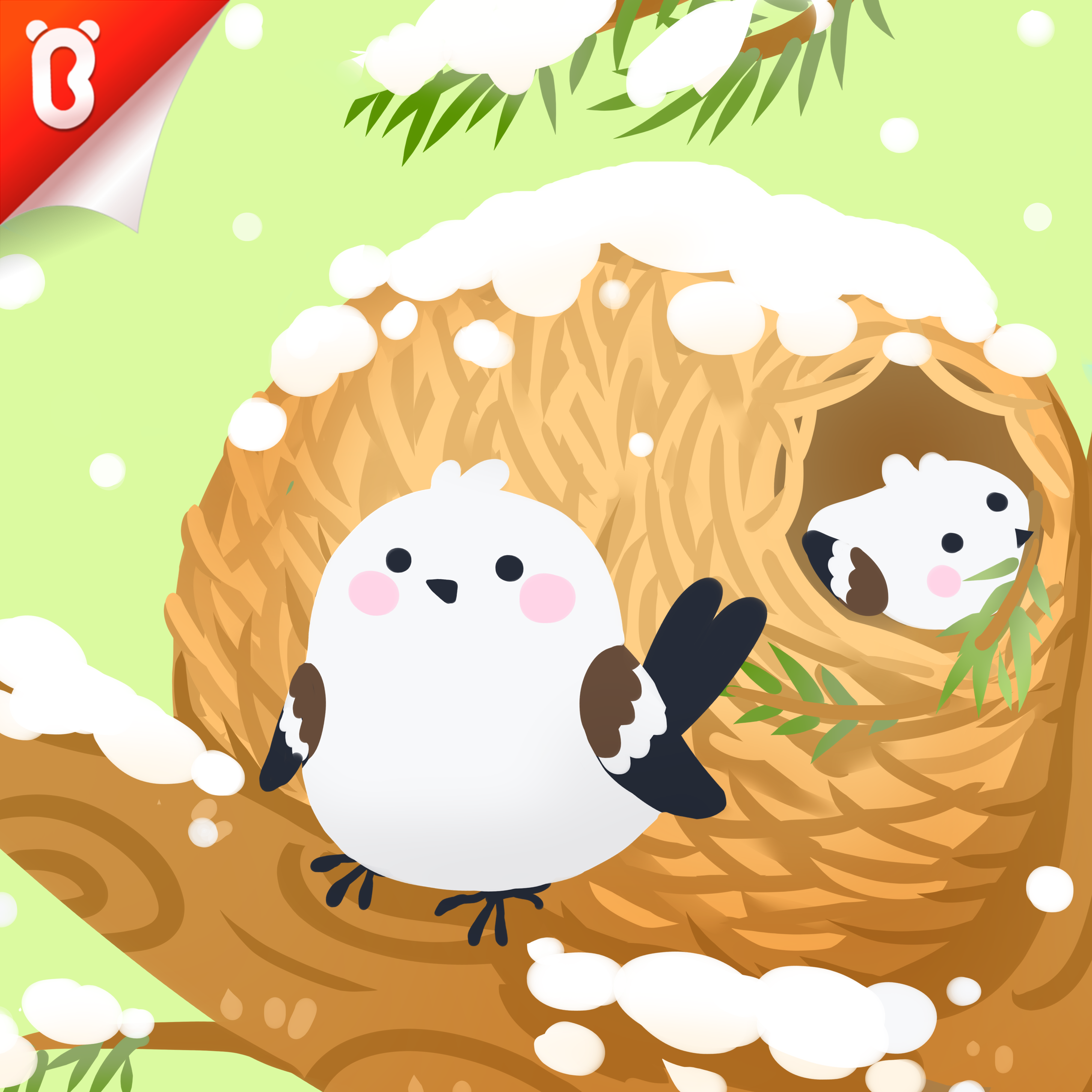 Panda Kiki’s Moment of Science: The Special Bird Nest