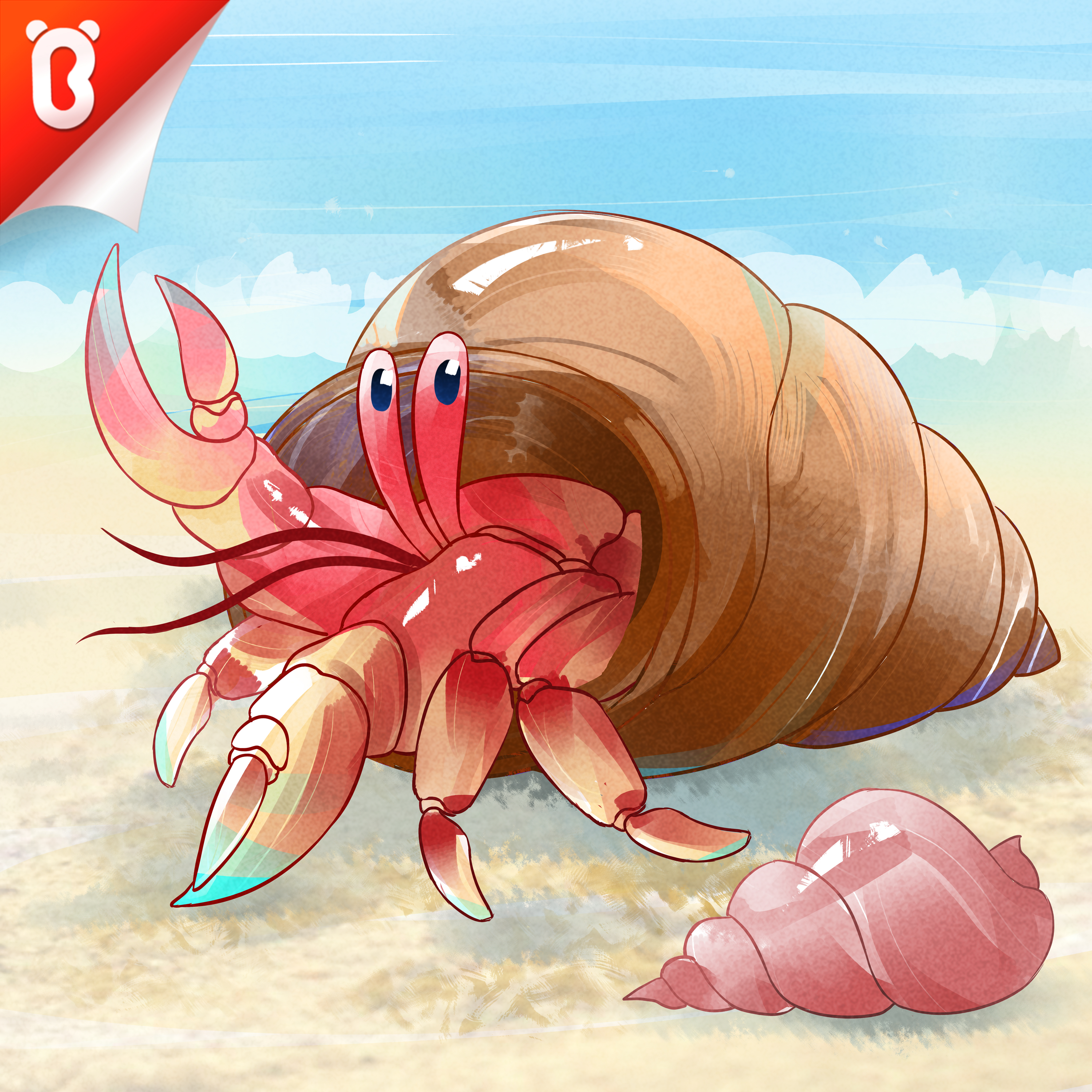 Know the Unknown: Why Do the Hermit Crabs Change Their Houses?